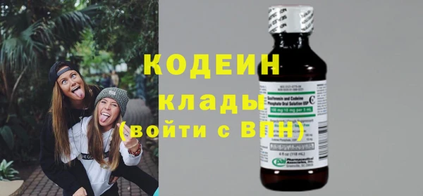 ешки Вяземский