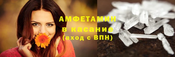 прущие грибы Тавда