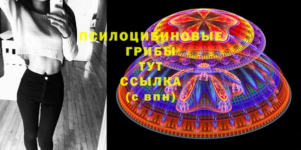 ешки Вяземский