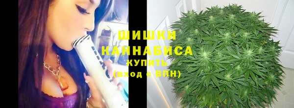 ешки Вяземский
